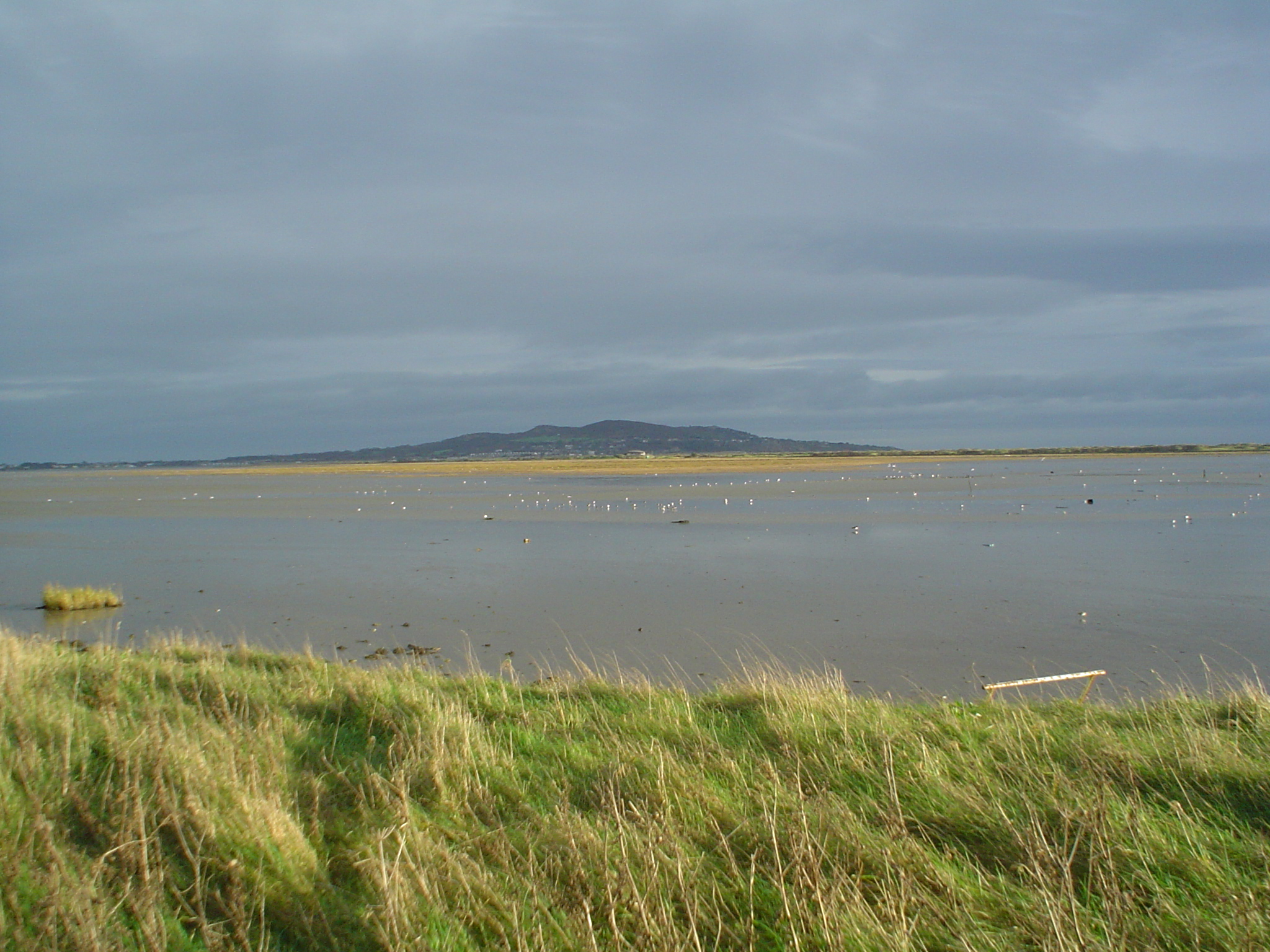 North Bull Island